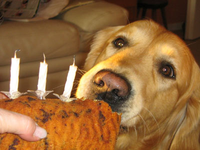 miam miam !